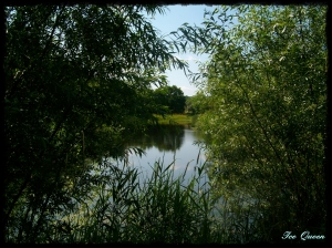 Blick auf Kaulsdorfer Teich